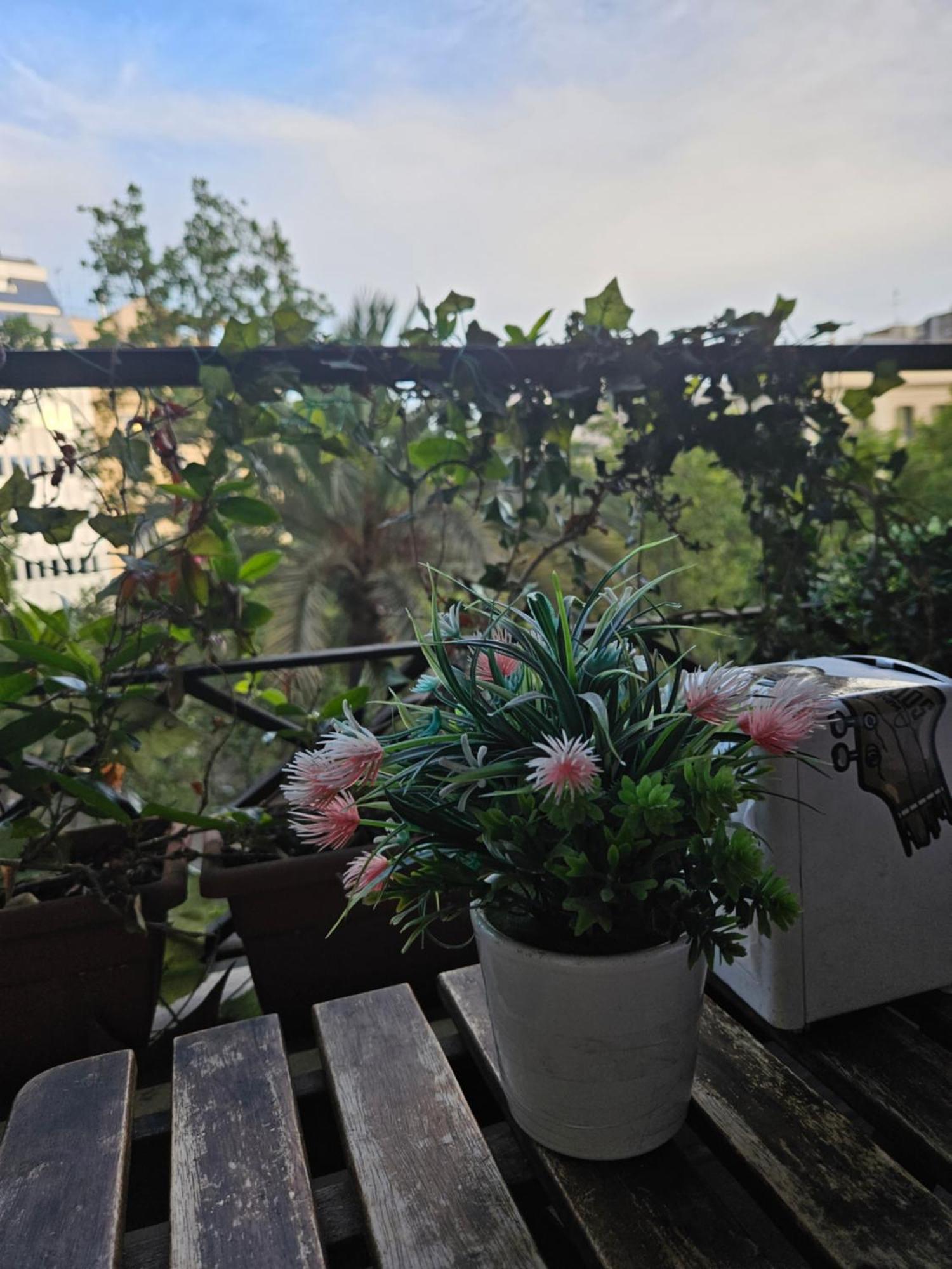 Wow Hostel Barcelona Eksteriør billede